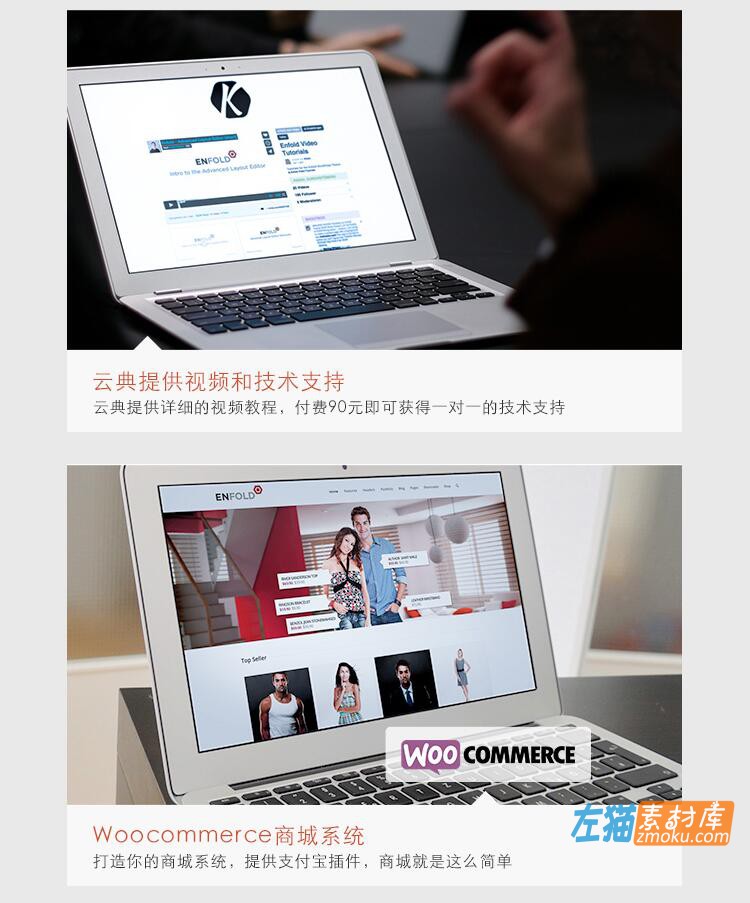 WordPress_Enfold主题