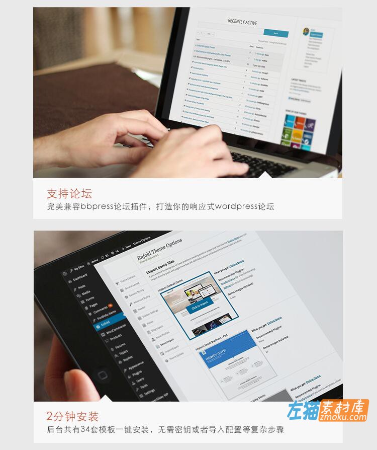 WordPress_Enfold主题