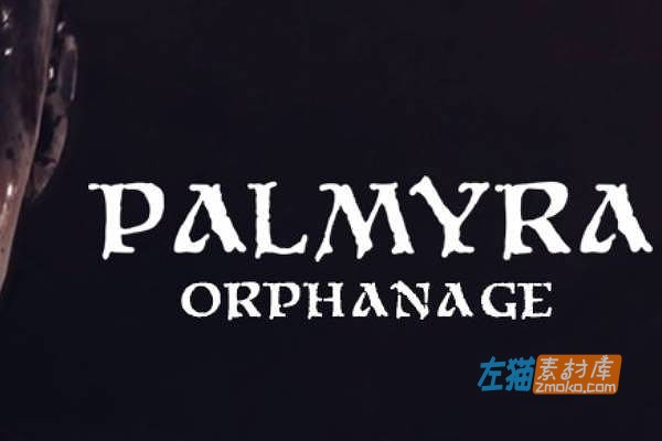 [PC游戏]《帕尔米拉孤儿院》(Palmyra Orphanage)_下载即玩_中英文硬盘收藏版[v4.21.2]