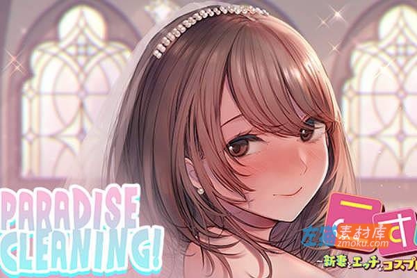 [PC游戏]《天堂清洁：Cosplay生活》(Paradise Cleaning)_益智消除游戏_STEAM中文硬盘整合版