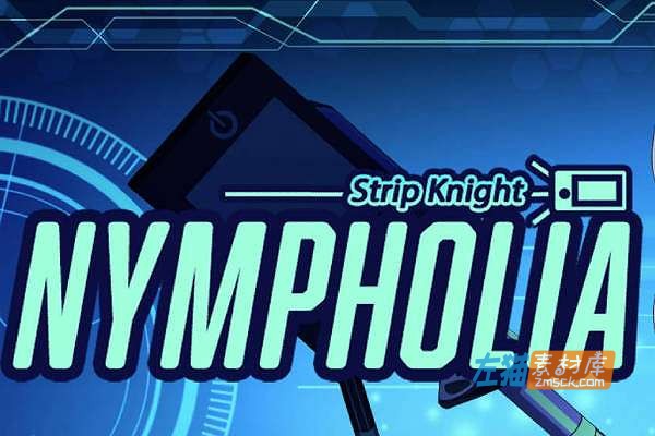 [PC游戏]《闪光骑士宁芙莉亚》(Flash Knight Nymphelia)_英雄RPG冒险游戏_STEAM中文整合版